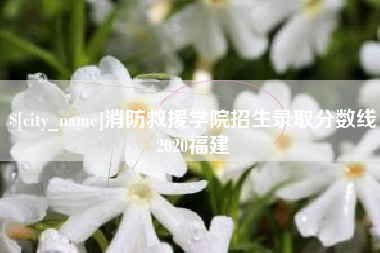 诸城消防救援学院招生录取分数线2020福建