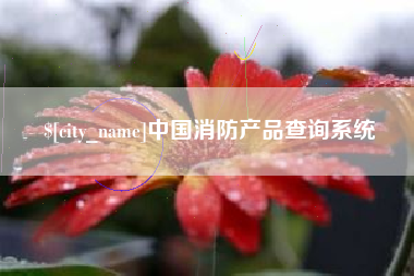 诸城中国消防产品查询系统