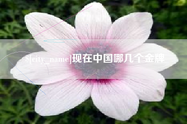 诸城现在中国哪几个金牌