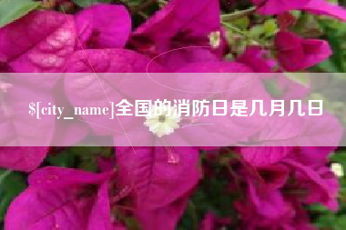 诸城全国的消防日是几月几日