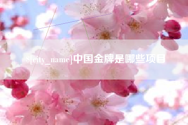 诸城中国金牌是哪些项目