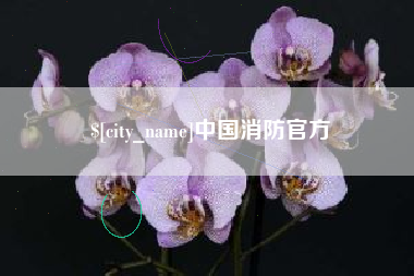 诸城中国消防官方