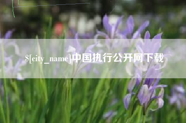 诸城中国执行公开网下载