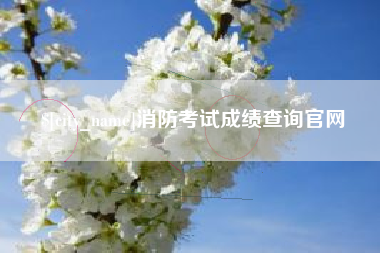 诸城消防考试成绩查询官网