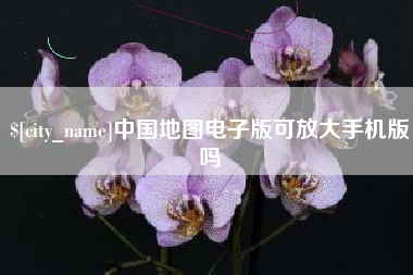 诸城中国地图电子版可放大手机版吗