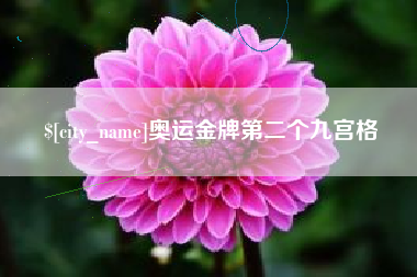 诸城奥运金牌第二个九宫格