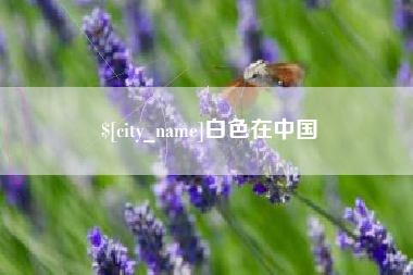 诸城白色在中国