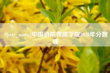 诸城中国消防救援学院2020年分数线