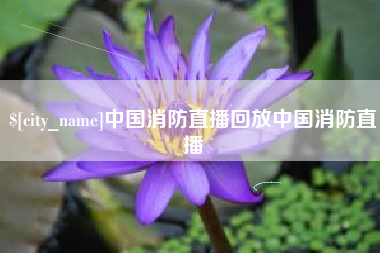 诸城中国消防直播回放中国消防直播