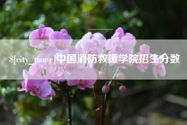 诸城中国消防救援学院招生分数