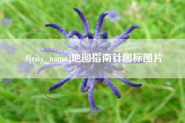 诸城地图指南针图标图片