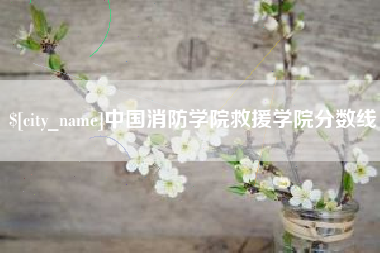 诸城中国消防学院救援学院分数线