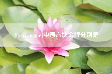 诸城中国六块金牌分别是