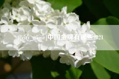 诸城中国金牌有哪些2021