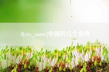 诸城中国的几个金牌