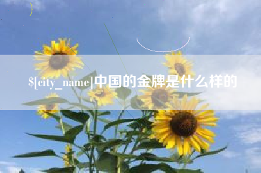诸城中国的金牌是什么样的
