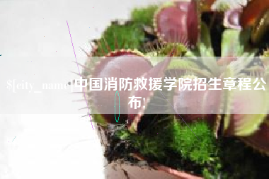 诸城中国消防救援学院招生章程公布!