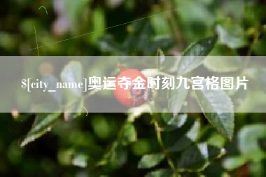 诸城奥运夺金时刻九宫格图片