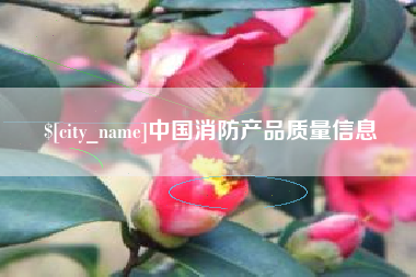 诸城中国消防产品质量信息
