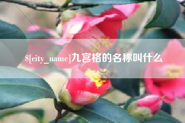 诸城九宫格的名称叫什么