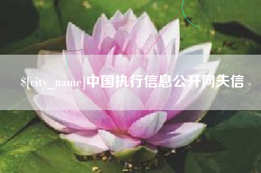 诸城中国执行信息公开网失信