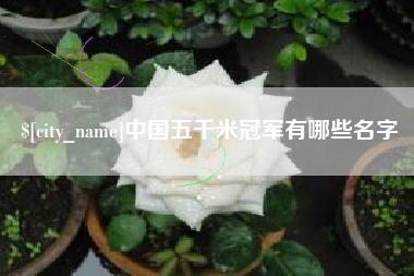 诸城中国五千米冠军有哪些名字
