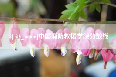 诸城中国消防救援学院分数线