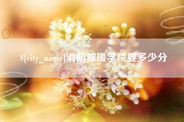 诸城消防救援学院要多少分