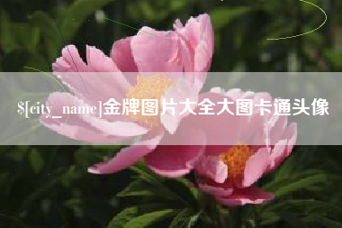 诸城金牌图片大全大图卡通头像