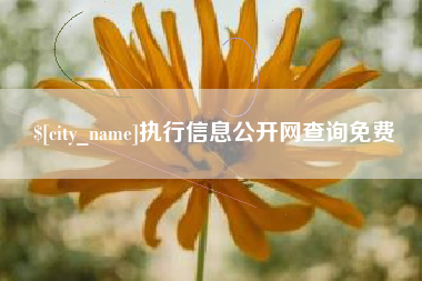 诸城执行信息公开网查询免费