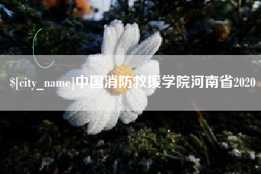 诸城中国消防救援学院河南省2020